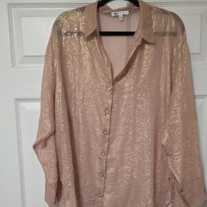 DR2 Shimmering Gold Blouse